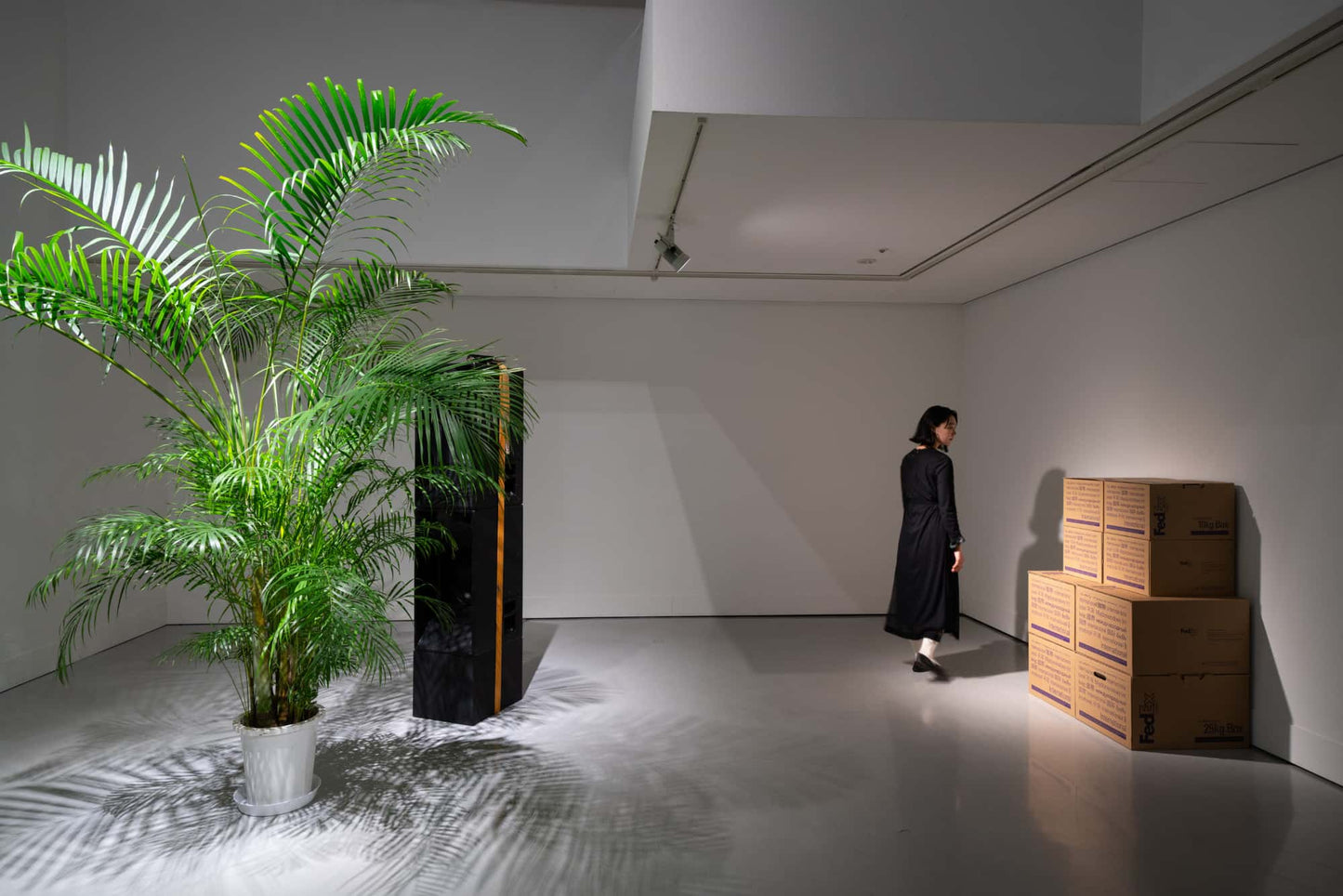 Shuta Hasunuma exhibition: ~ ing