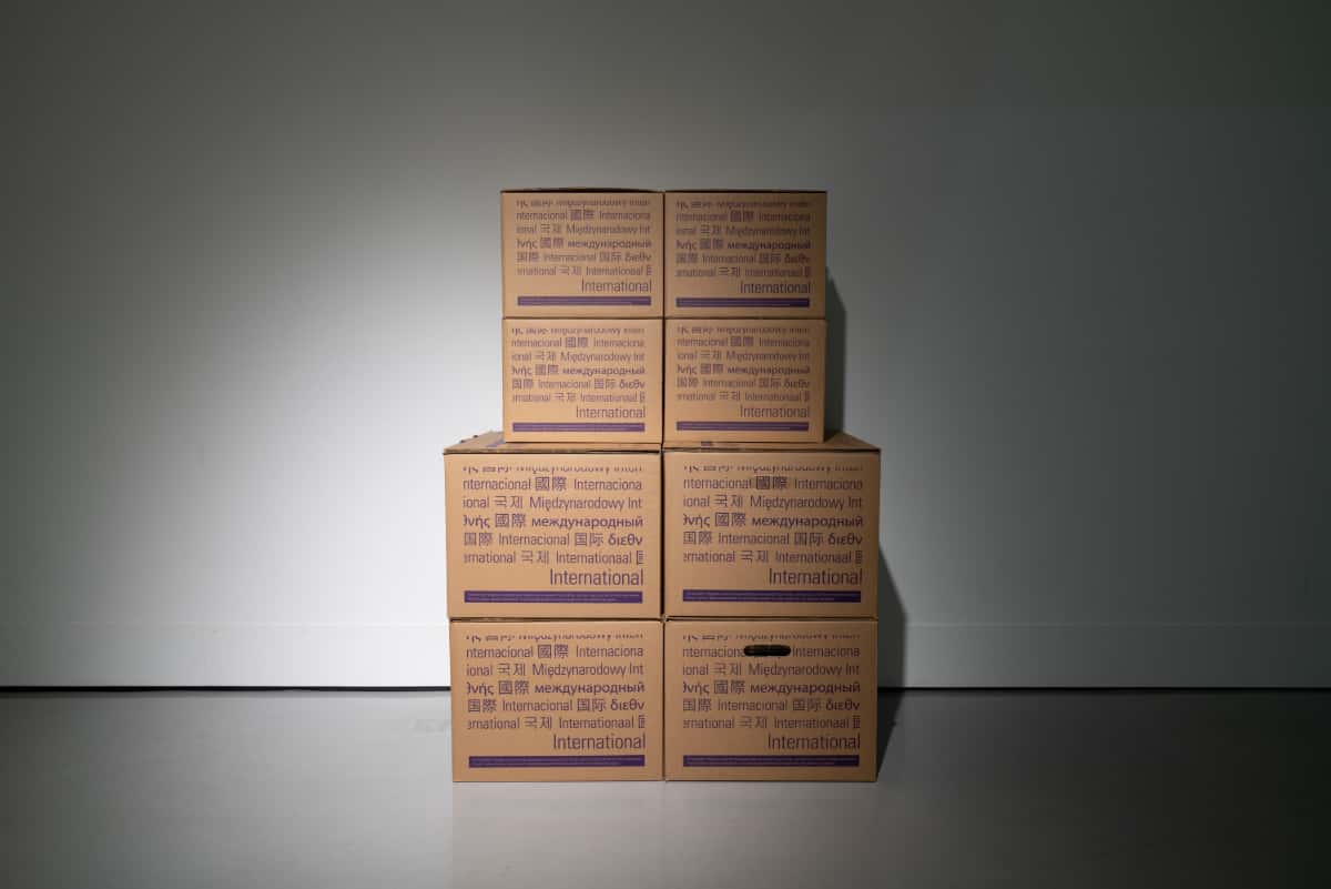 Shuta Hasunuma exhibition: ~ ing
