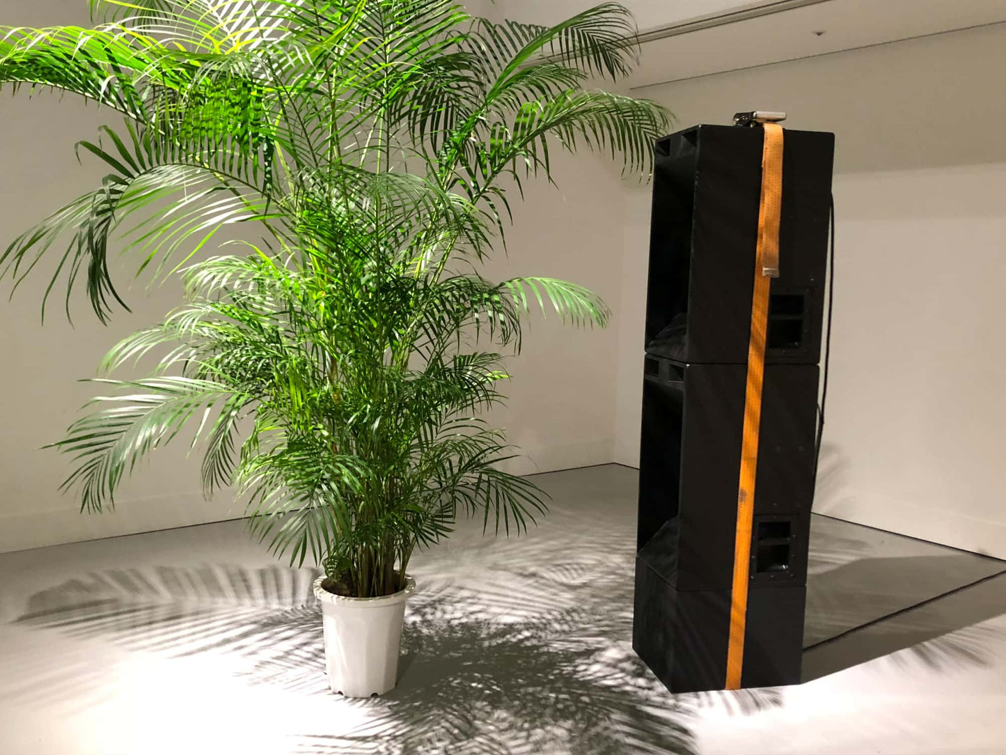 Shuta Hasunuma exhibition: ~ ing