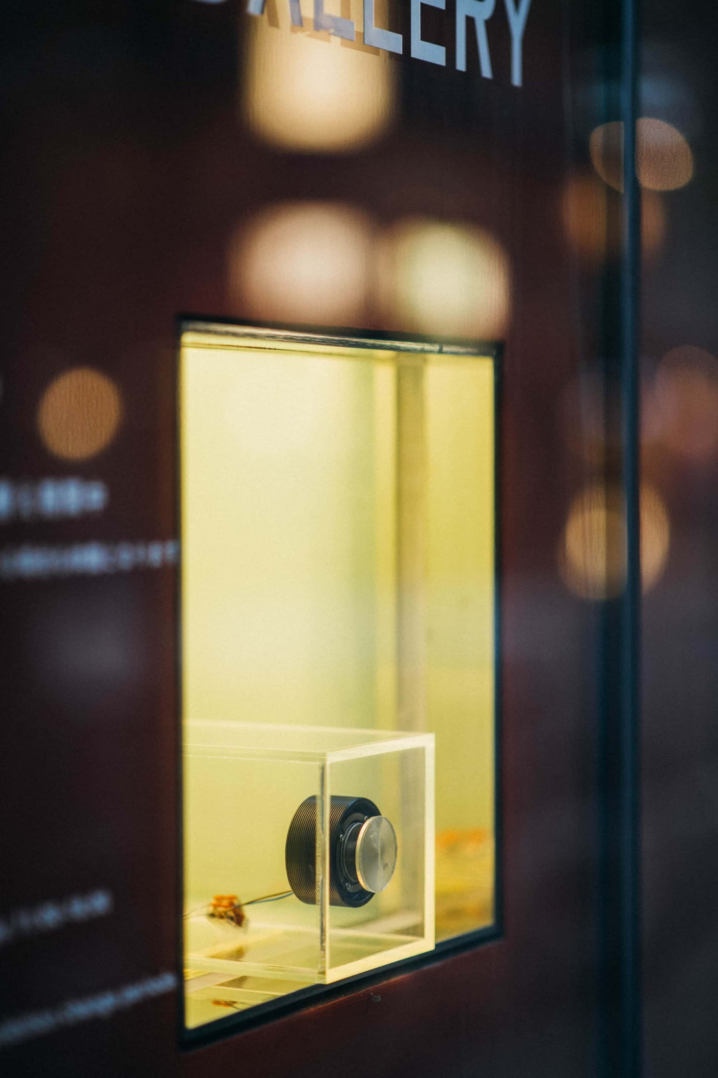 Shuta Hasunuma exhibition: ~ ing