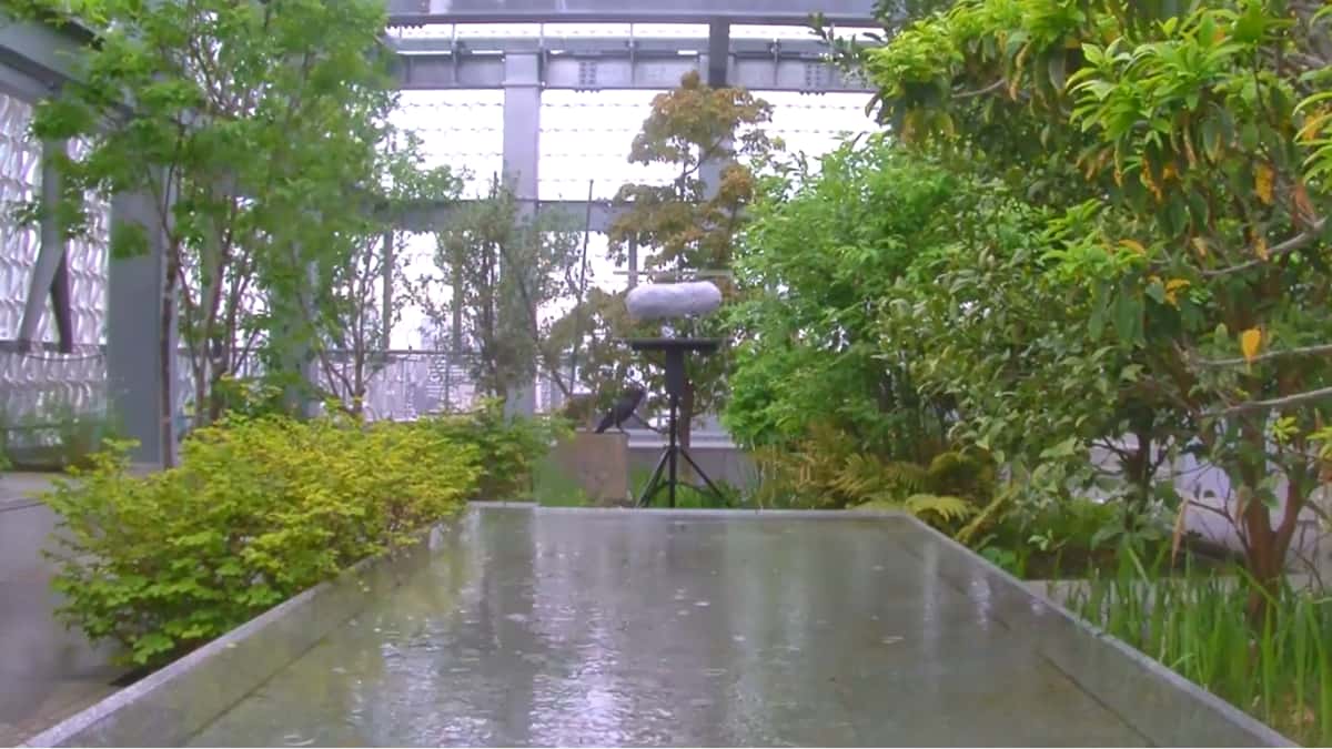 Shuta Hasunuma exhibition: ~ ing