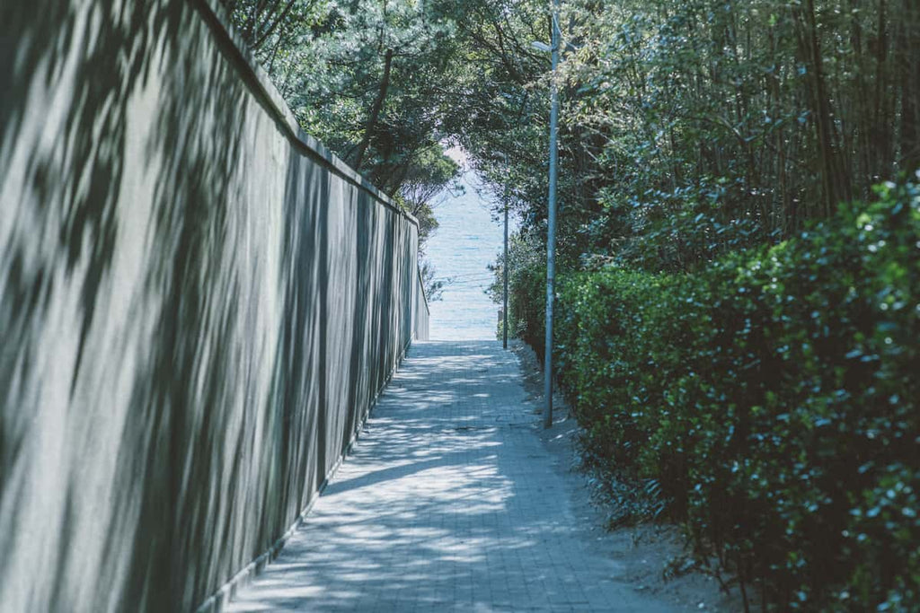 MUSIC TODAY HAYAMA / FACES