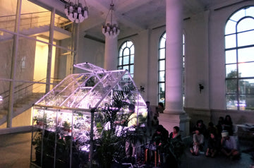 Peter Coffin “Music for Plants” YOKOHAMA TRIENNALE 2011 OUR MAGIC HOUR
