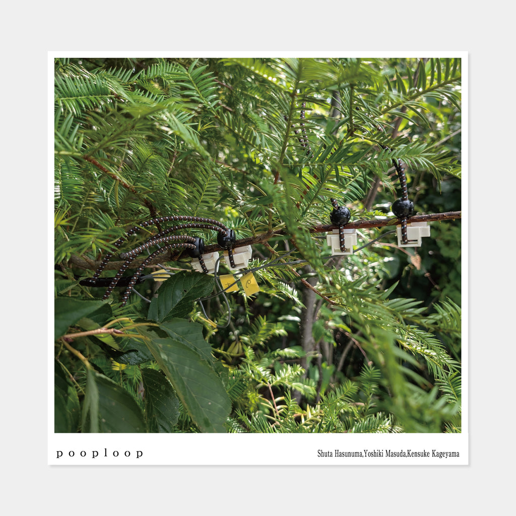 Shuta Hasunuma, Yoshiki Masuda, Kensuke Kageyama : pooploop (CD)