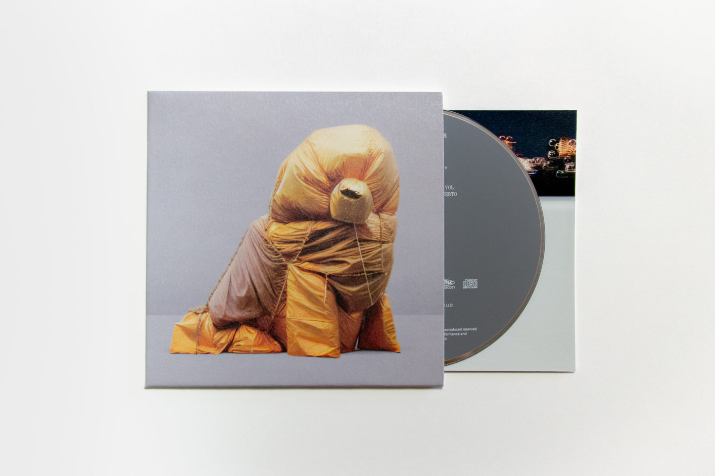 蓮沼執太チーム : TEAM (CD)