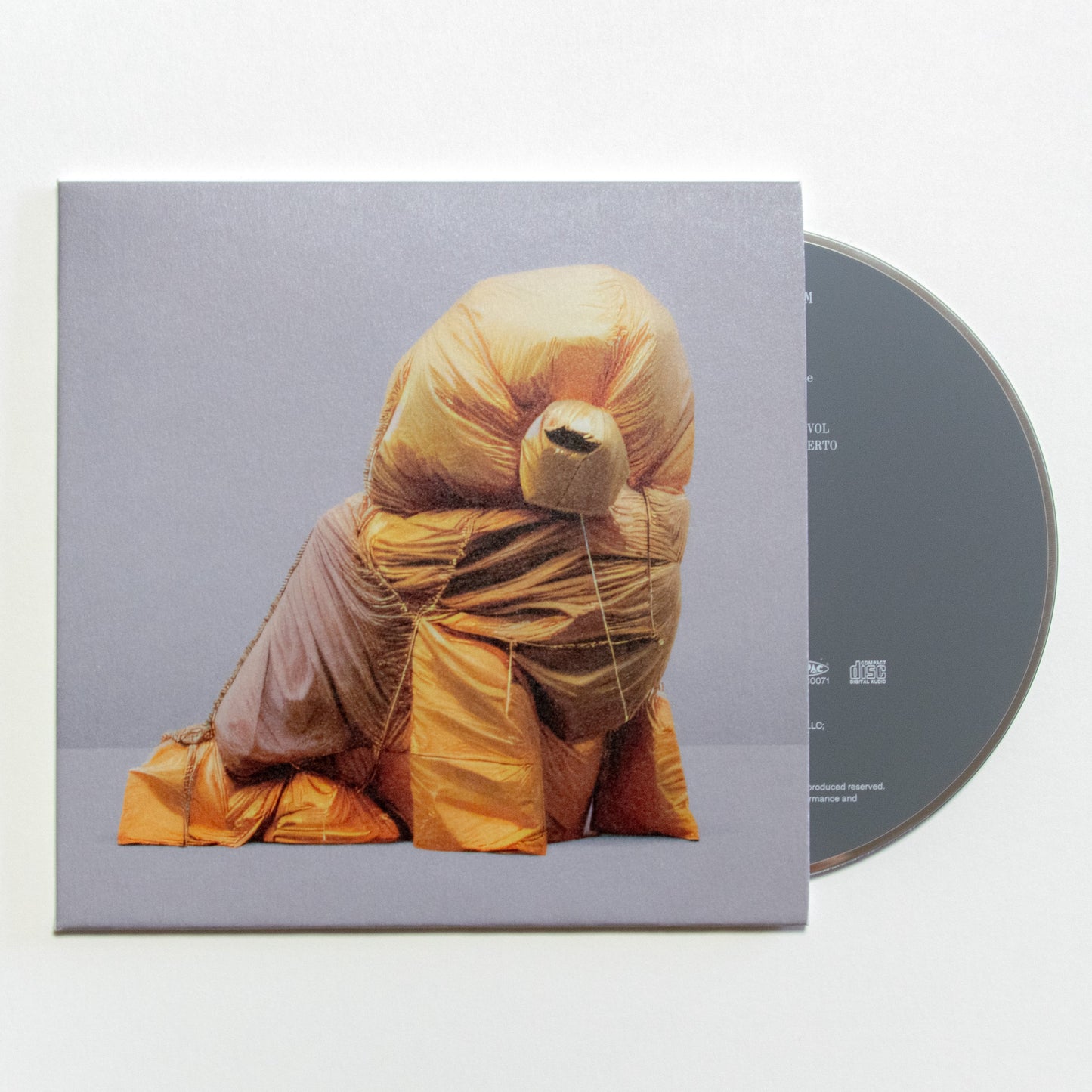 蓮沼執太チーム : TEAM (CD)