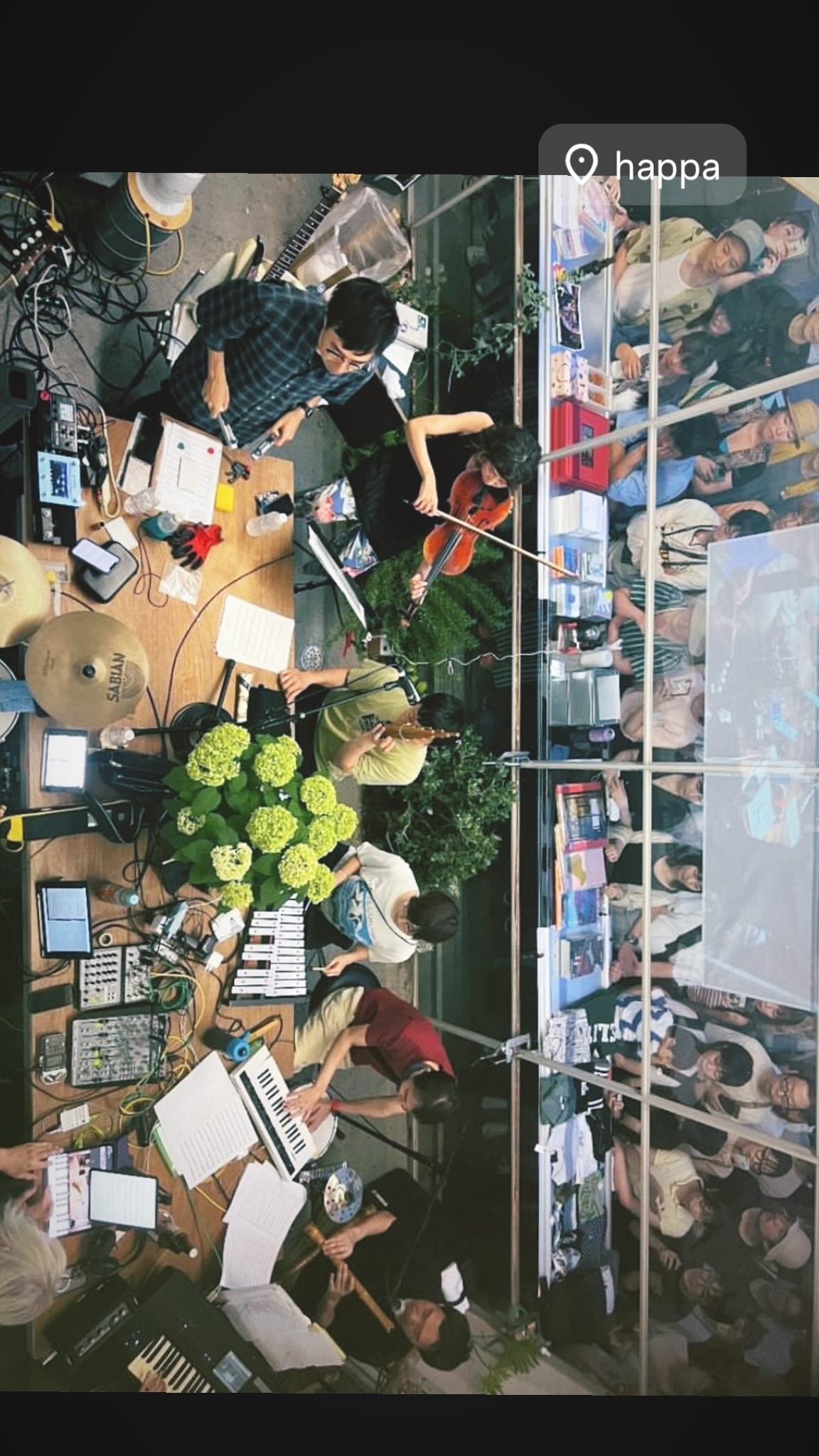 FREE windandwindows FLEA