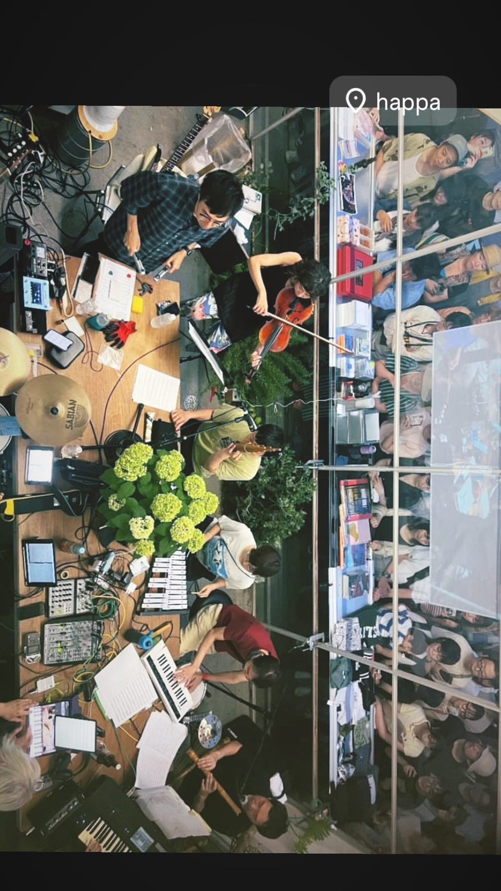 FREE windandwindows FLEA