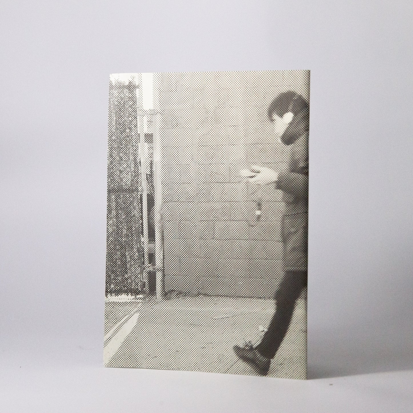 Shuta Hasunuma : Compositions at Pioneer Works (Book)