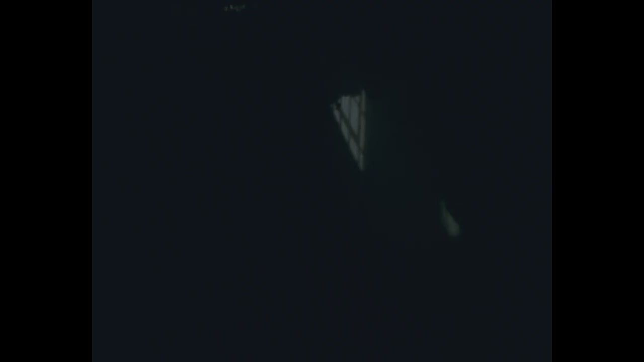 動画を読み込む: 