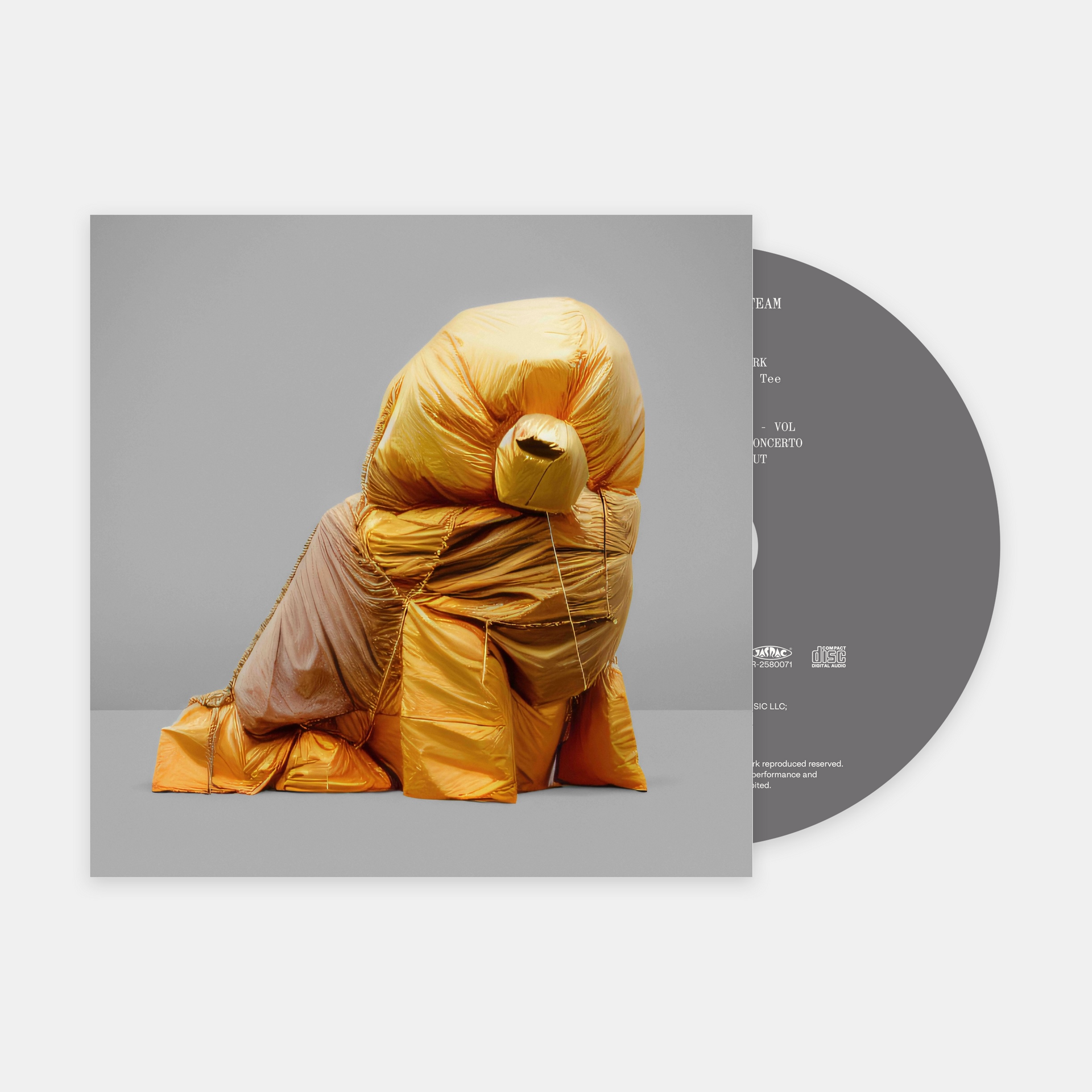 蓮沼執太チーム : TEAM (CD) – SHOP windandwindows