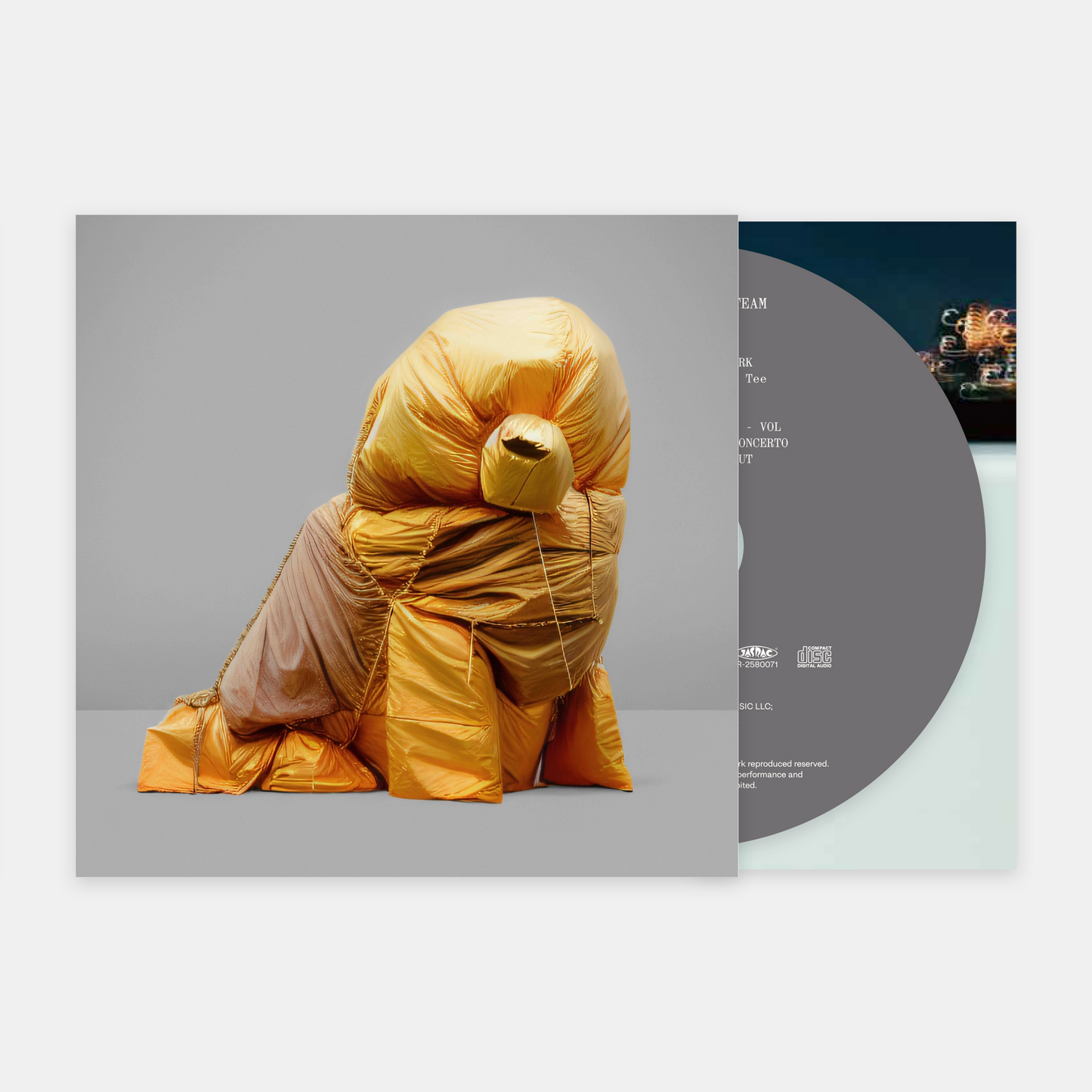 蓮沼執太チーム : TEAM (CD)