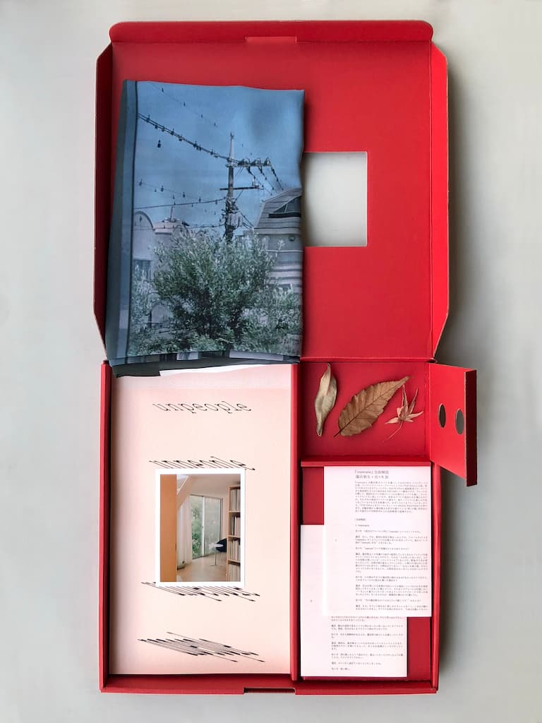 Shuta Hasunuma: unpeople (Special Edition LP Box)