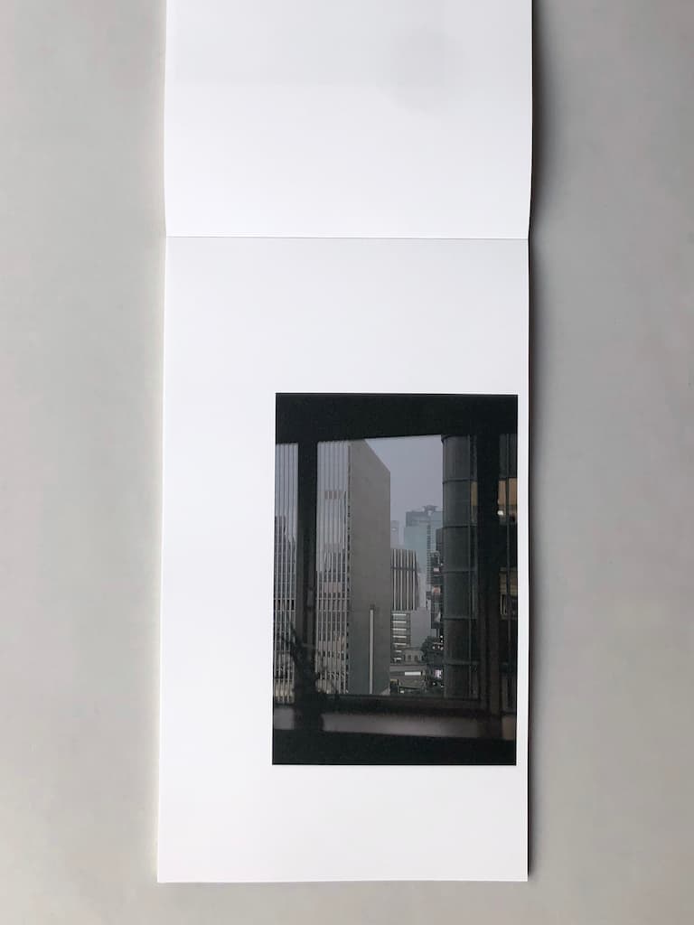 Shuta Hasunuma: unpeople (Special Edition LP Box)