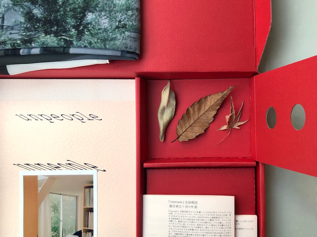 Shuta Hasunuma: unpeople (Special Edition LP Box)